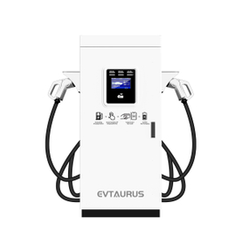 80KW 180KW 240KW DC Fast Commercial EV Charging Station with CCS2 Single Gun for Commercial Use