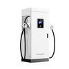 120KW DC Fast EV Charging Station with CCS2 Double Gun and for Commercial Project