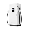 120KW DC Fast EV Charging Station with CCS2 Double Gun and for Commercial Project