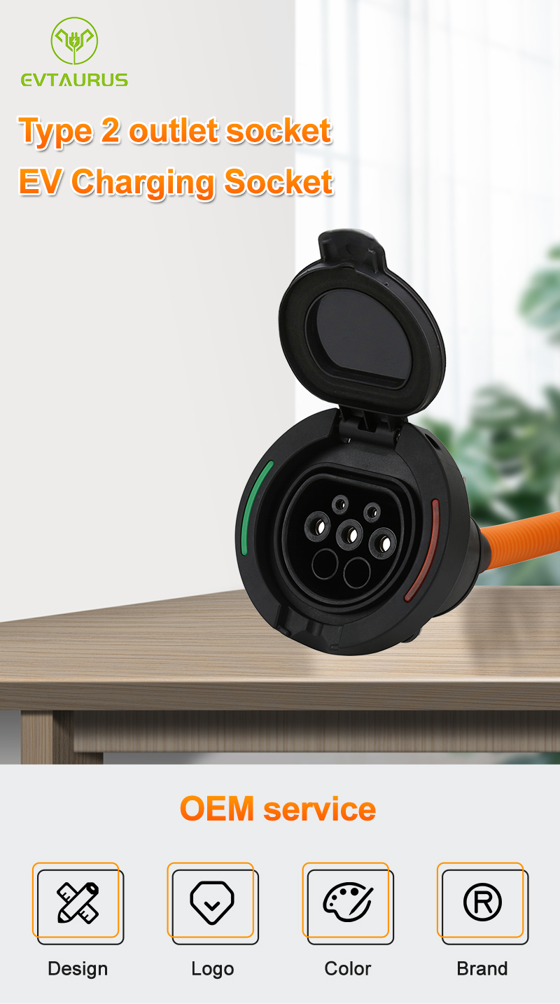 插头英文详情_01